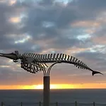Bonito Vistal Bristol Sunset