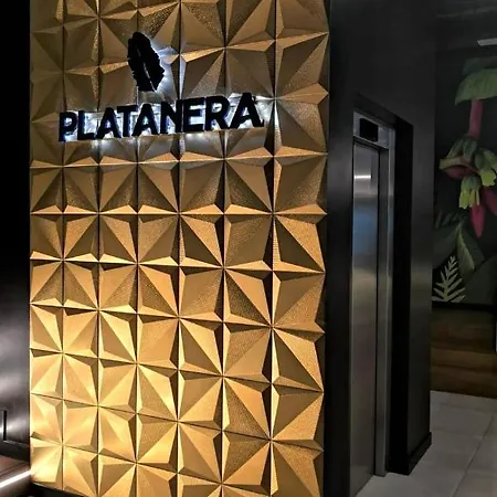 Bonito Vistal Bristol Sunset 아파트 *