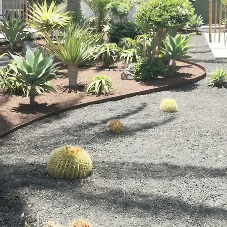 Bonito Vistal Bristol Sunset *