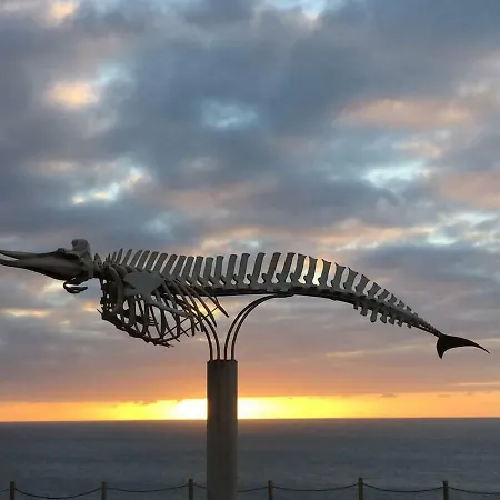 Bonito Vistal Bristol Sunset