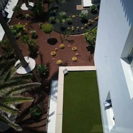 Bonito Vistal Bristol Sunset 코라레호