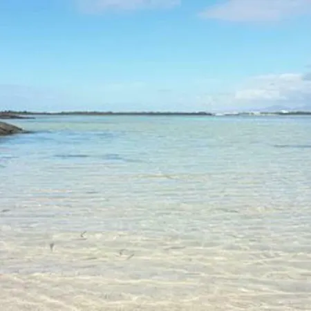 Bonito Vistal Bristol Sunset *