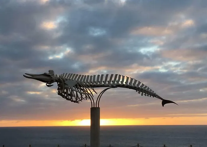 Bonito Vistal Bristol Sunset