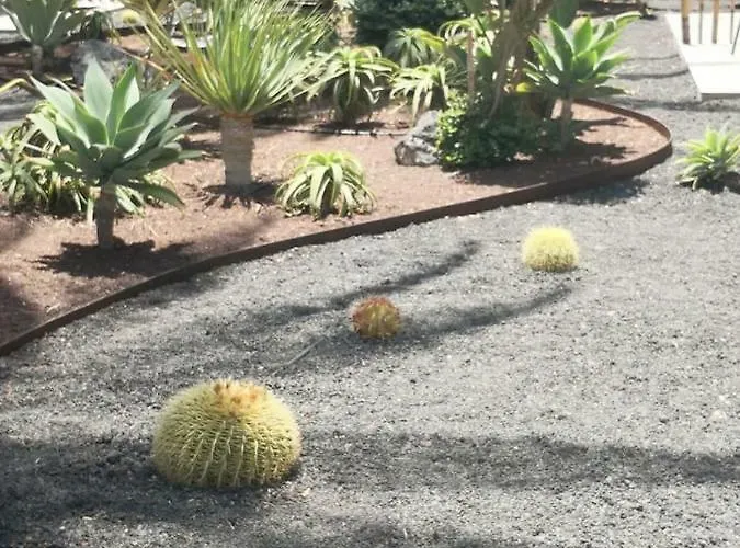 Bonito Vistal Bristol Sunset *