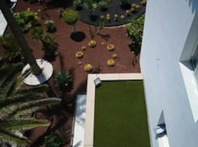 Bonito Vistal Bristol Sunset Corralejo