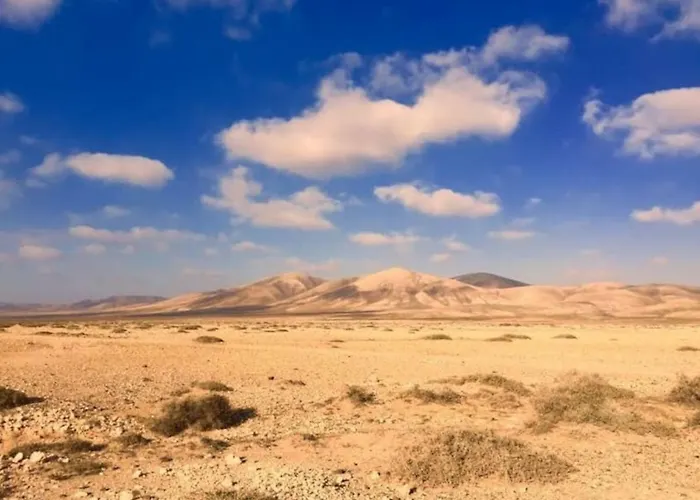 Bonito Vistal Bristol Sunset Corralejo