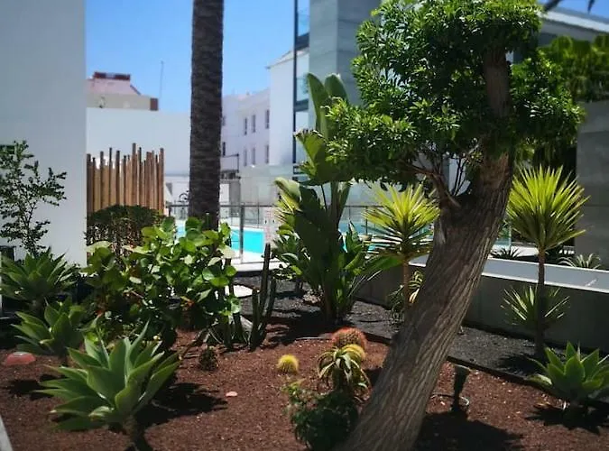 Bonito Vistal Bristol Sunset