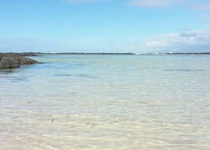 Bonito Vistal Bristol Sunset *